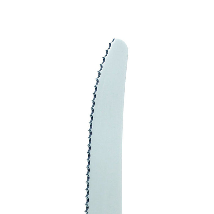 close up of rounded tip steak knife