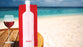 wine2go wine bottle bag holds a whole bottle of wine at beach